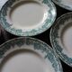 Lot 8 flat plates Terre de Fert vert Fleurs Argenton Saint Amand