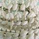 Seashell suspension