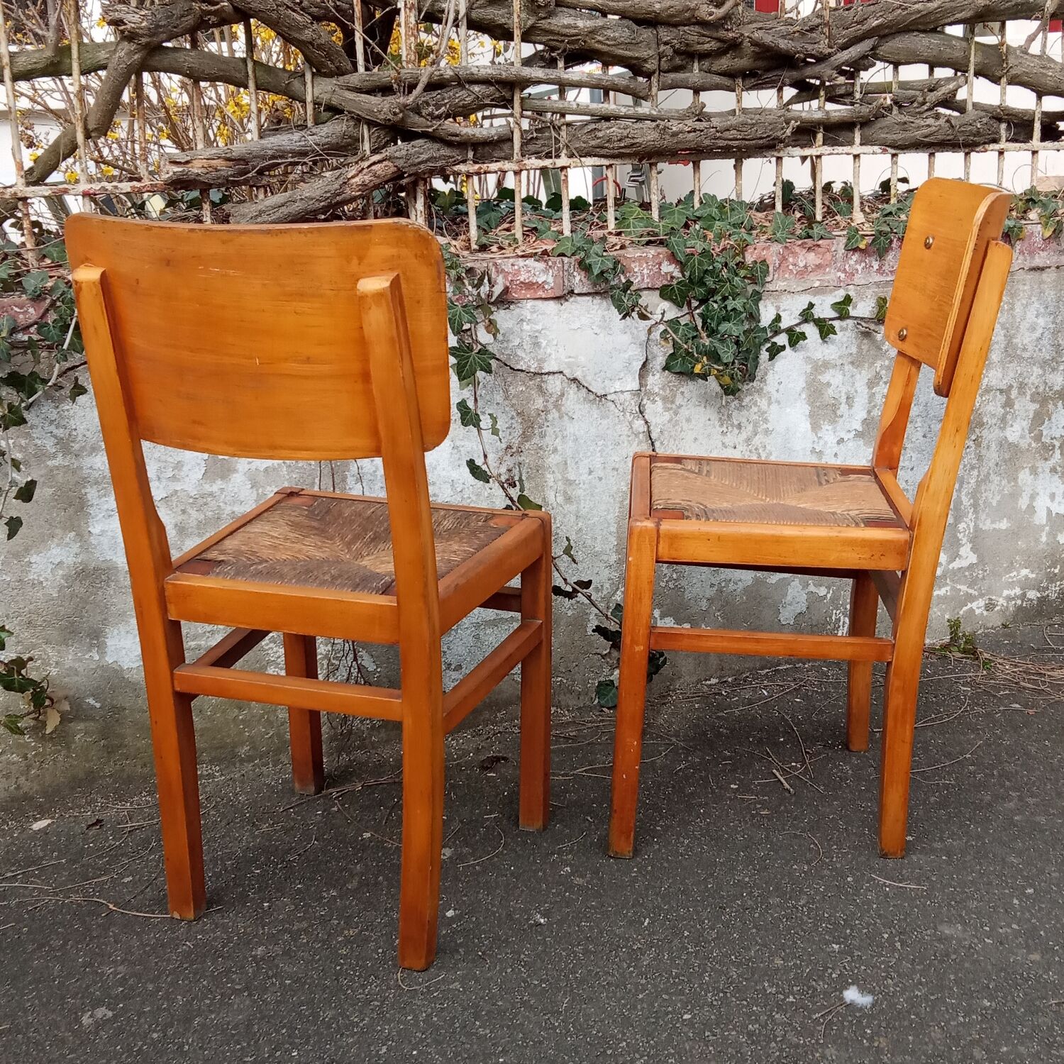 Pair of straw chairs from the 1950s