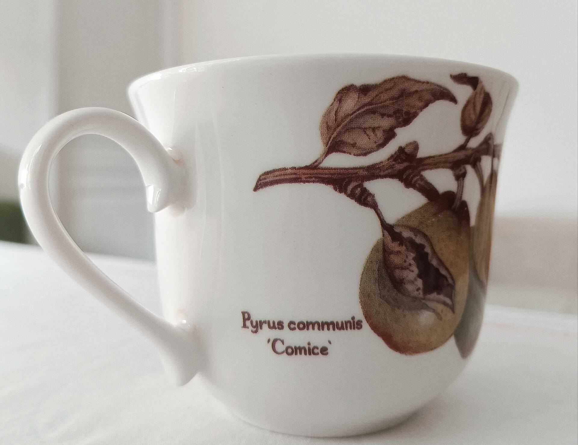English cup