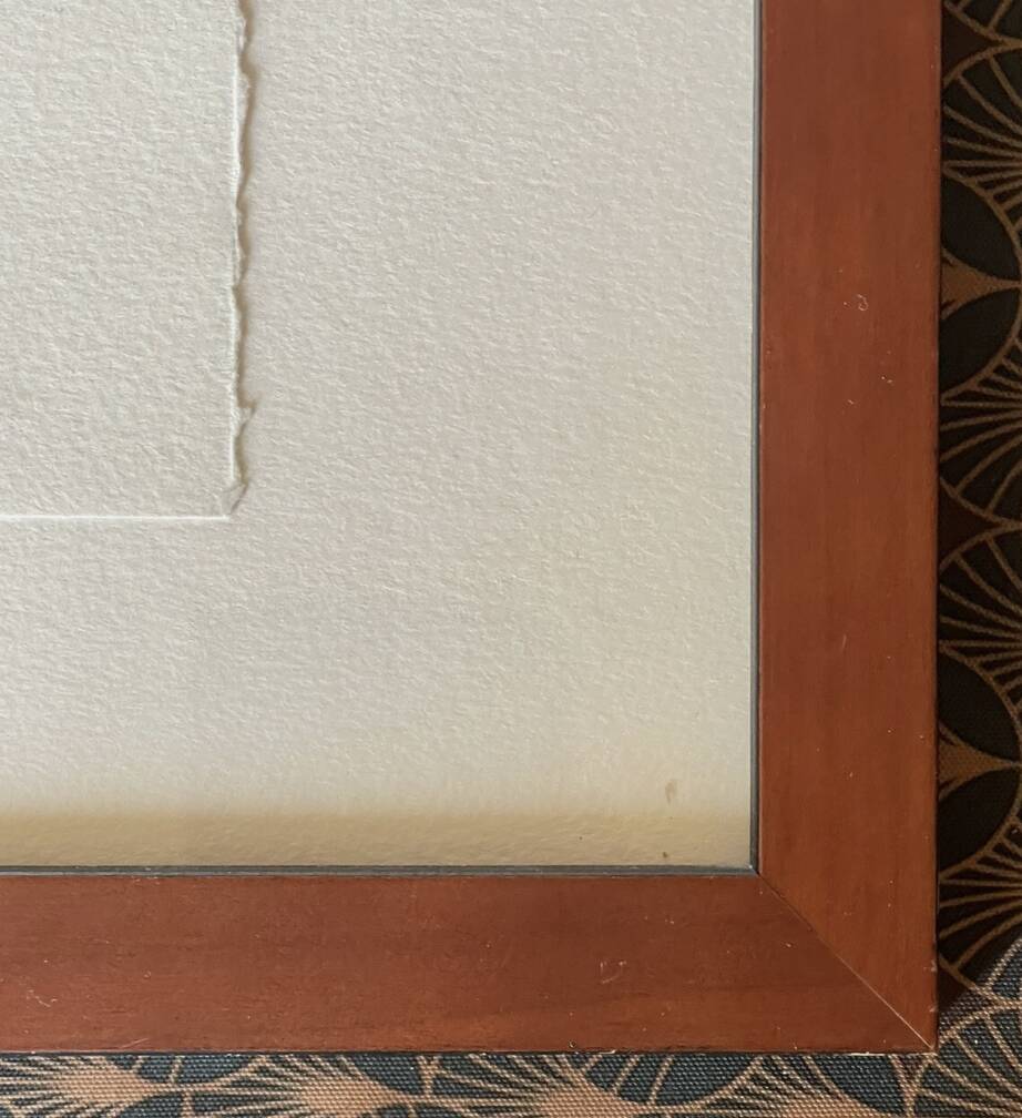 François Boucq (1955) - The Adventures of Jérôme Moucherot - Lithograph