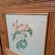 Rattan cabinet 1960