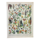 Antique engraving 1898, Flowers and plants 1 (annuals), botany • Lithograph, original illustration