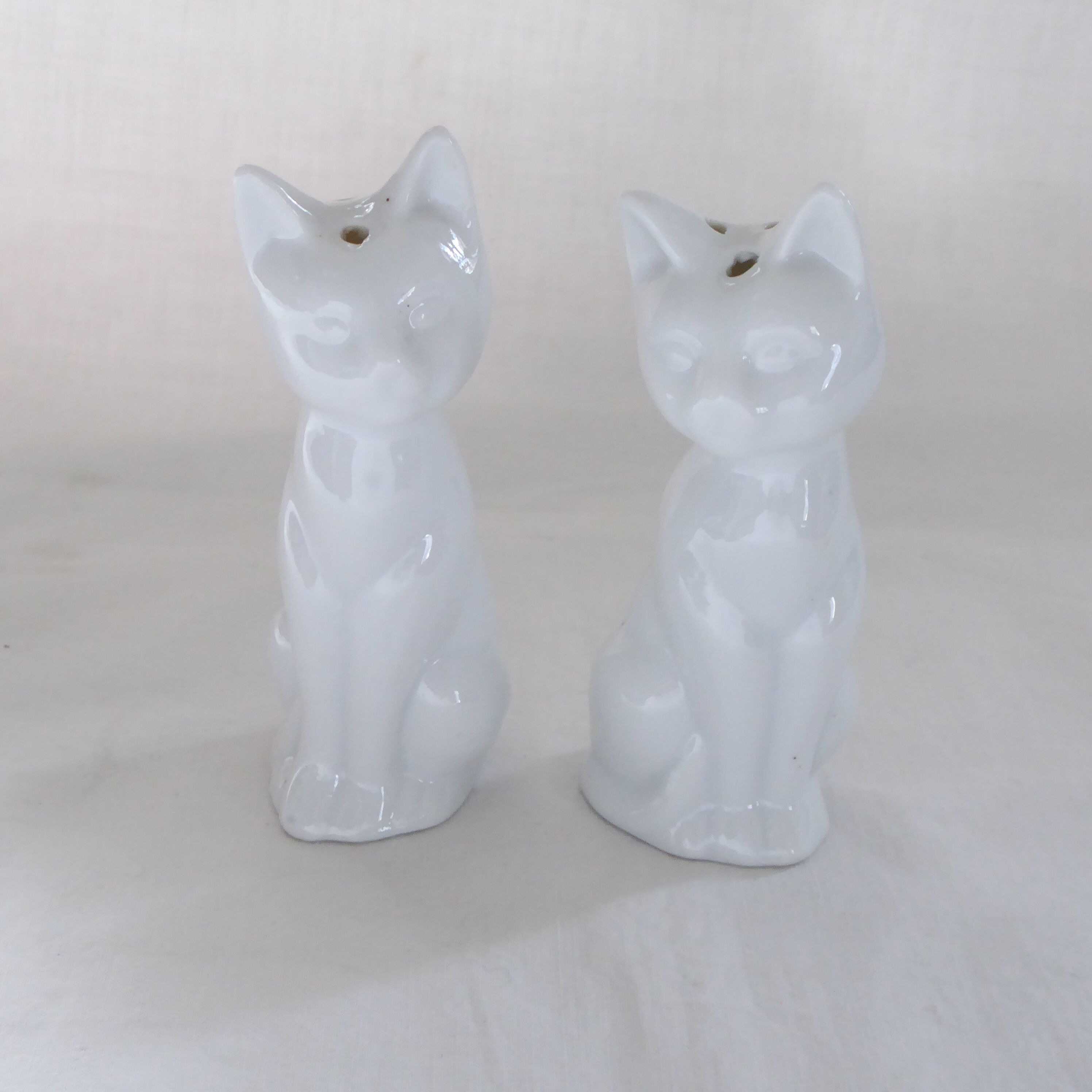 Salt and pepper shaker