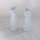 Salt and pepper shaker