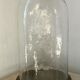Glass globe bell