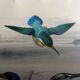 Bird engravings, bird illustration