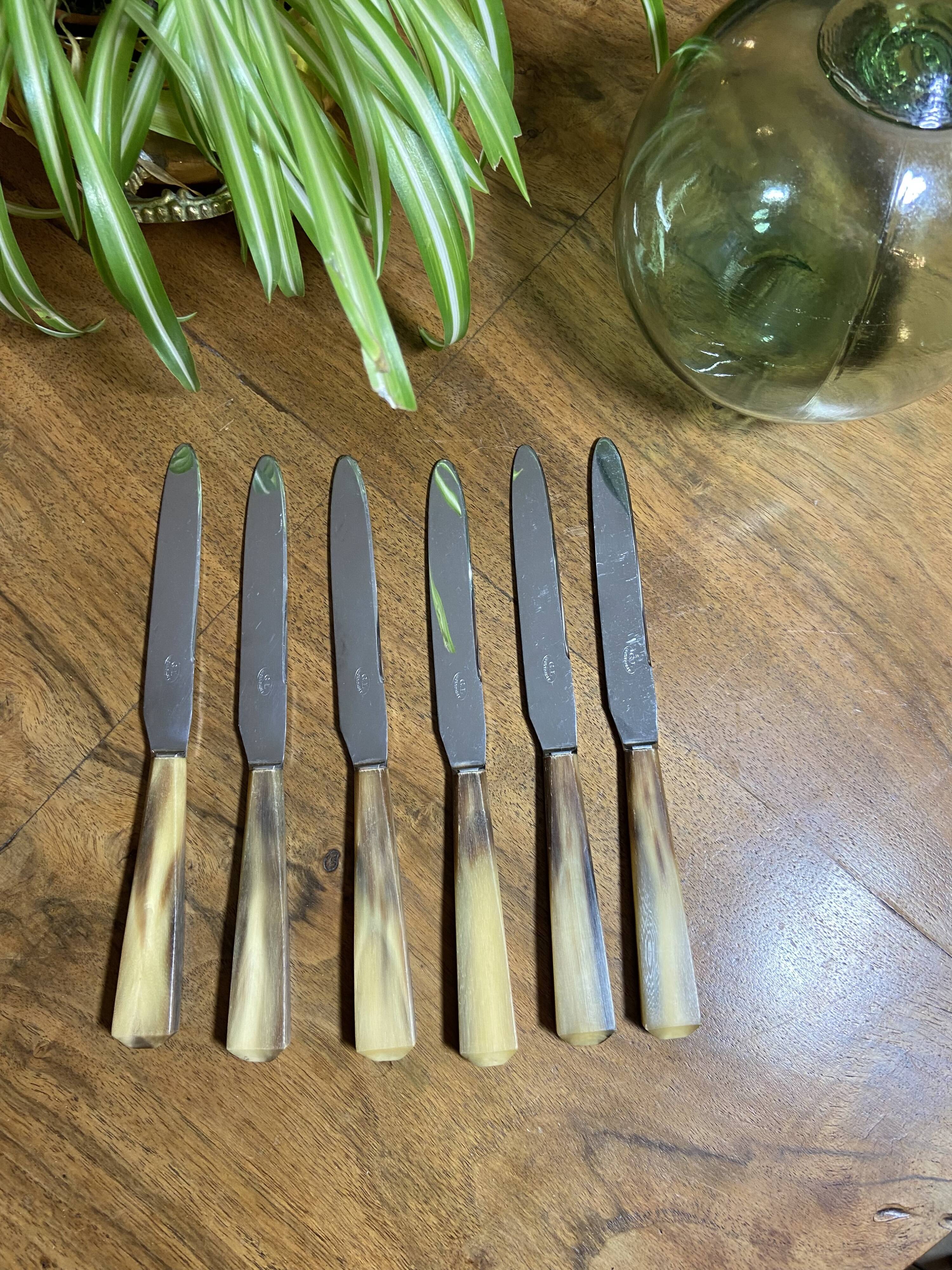 PRODUCT BHV - Set of 6 small vintage horn knives