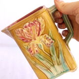 Pitcher dabbling in iris