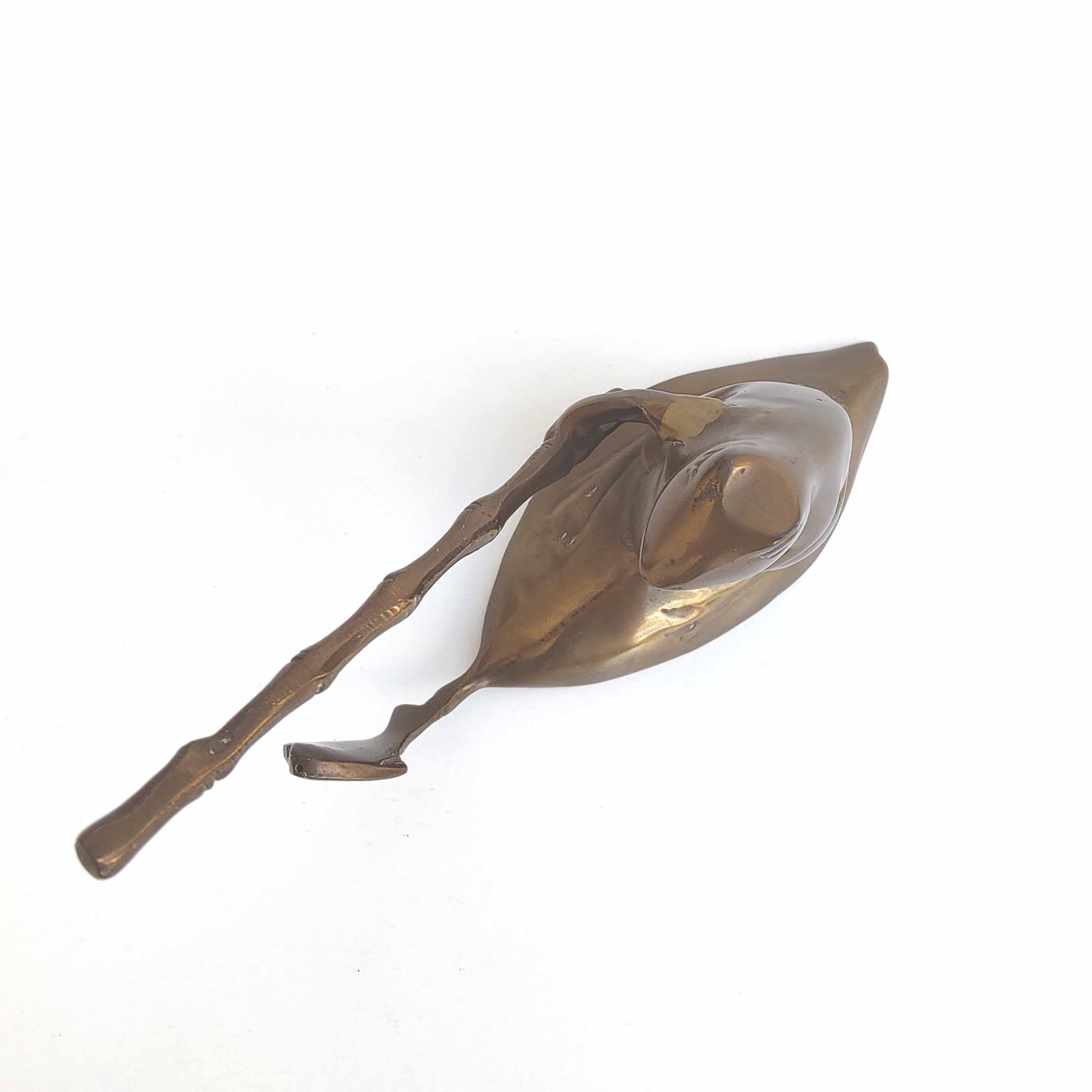 Frog that catches a brass fish