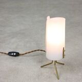 Mid-Century Italian Plastic and Brass Table Lamp