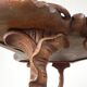 Table à thé Art Nouveau style Emile Galle