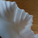 Opaline pendant light with claw and ceiling rose