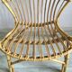 Adult rattan shell armchair