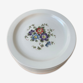 Assiettes plates