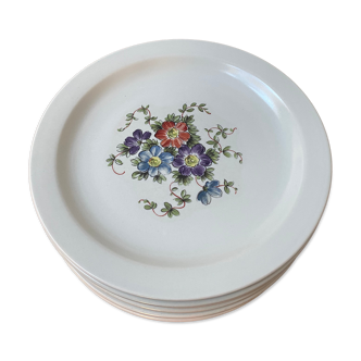 Assiettes plates