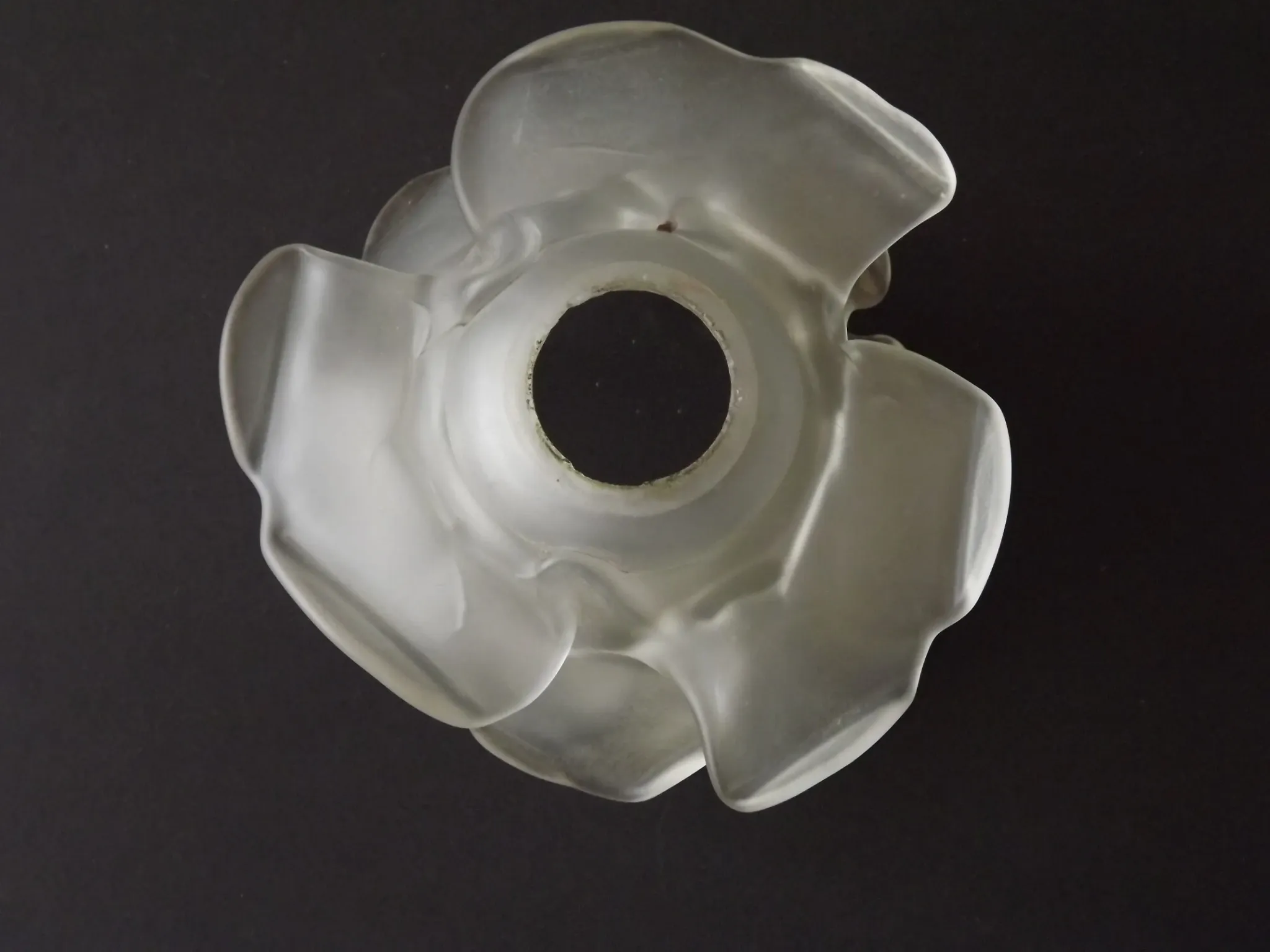 Vintage Art Deco Frosted Satin Glass Rose Flower Lamp Shade