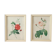 Two litho rose Redouté