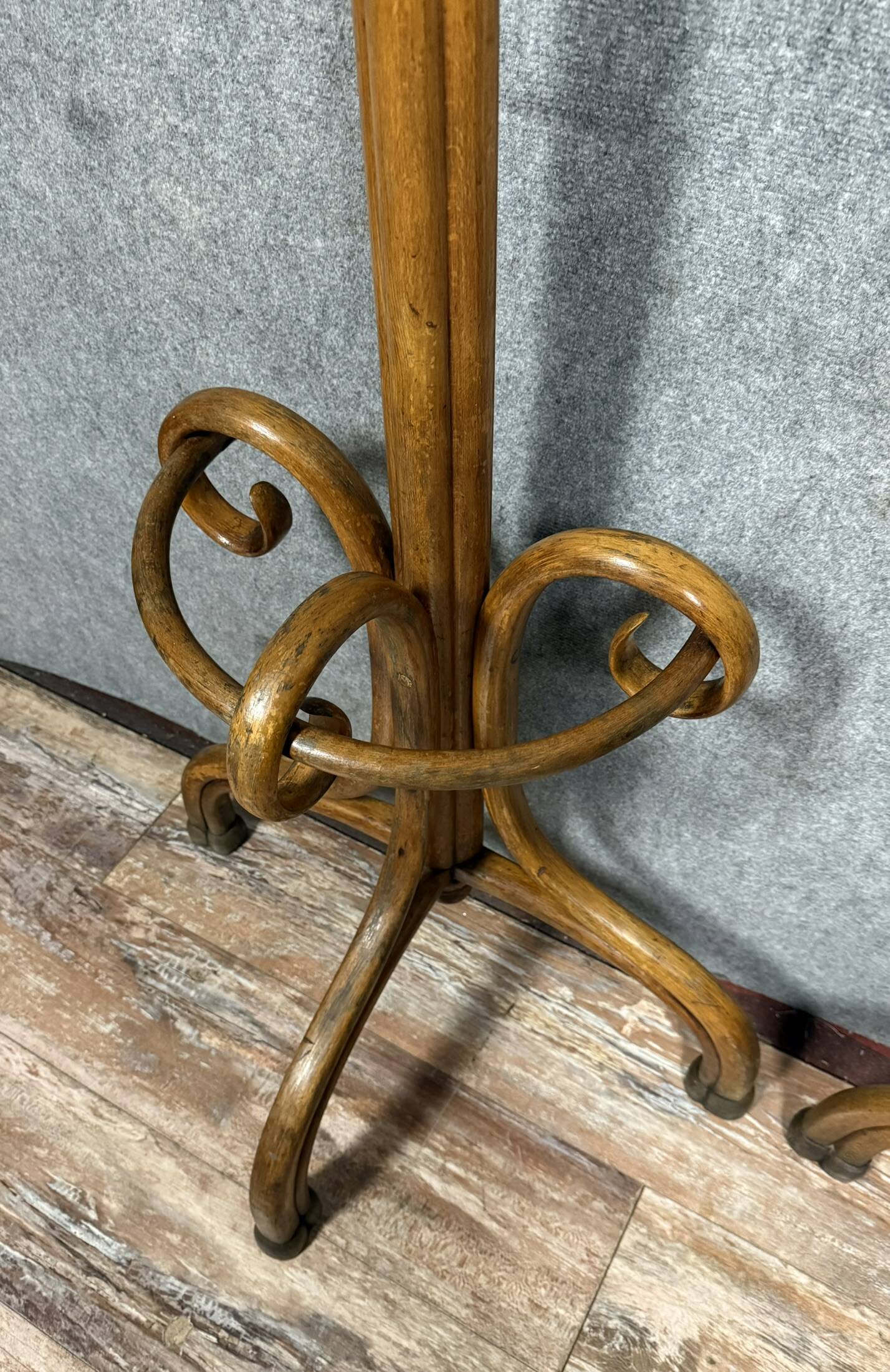Thonet: pair of parrot coat racks in the shape of a "half-moon"