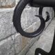 Parrot coat rack