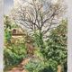 Aquarelle Maison aux Iris