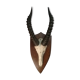Antelope trophy massacre