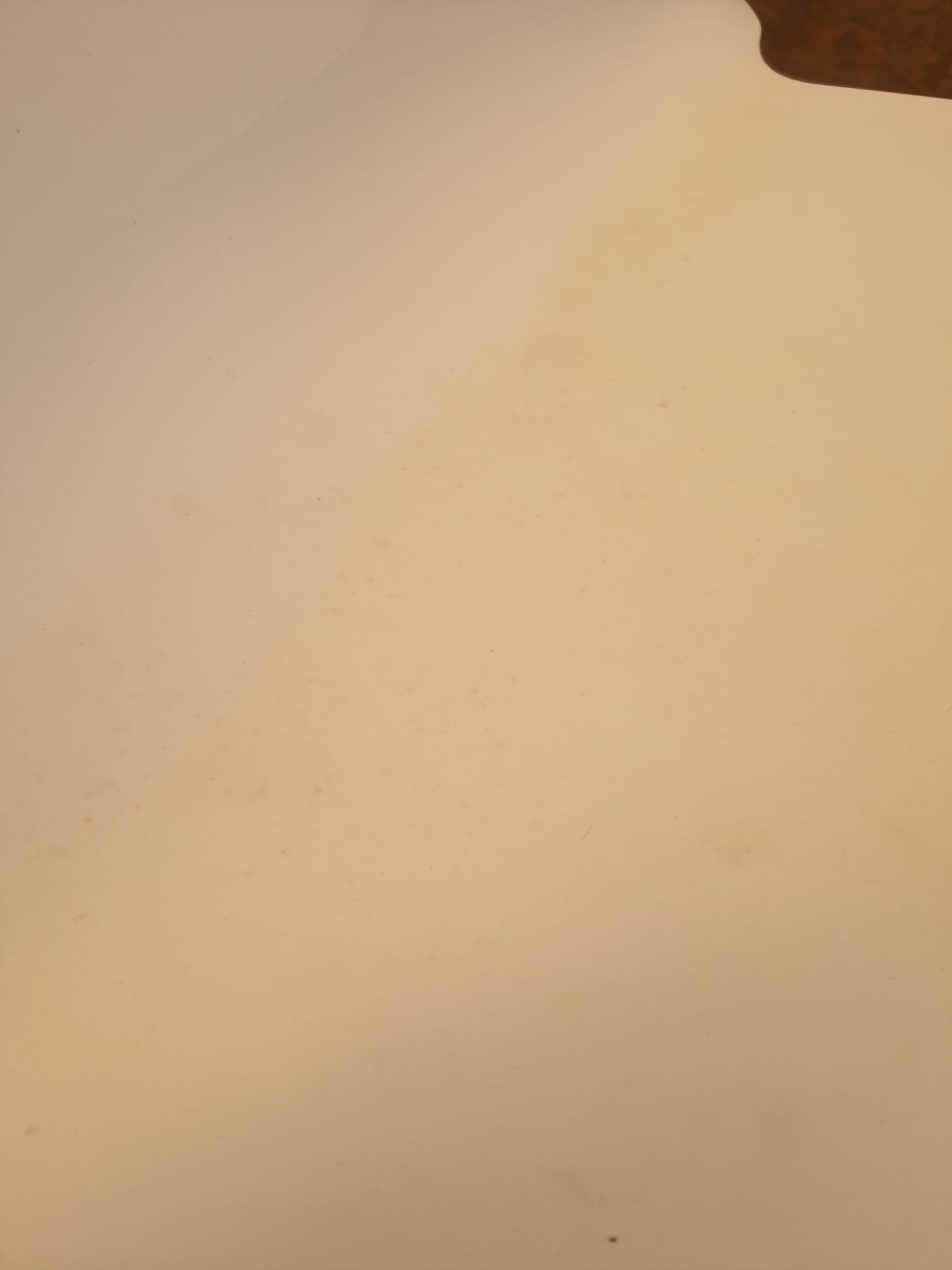 Tiffany Chairs by Marcello Ziliani for Casprini