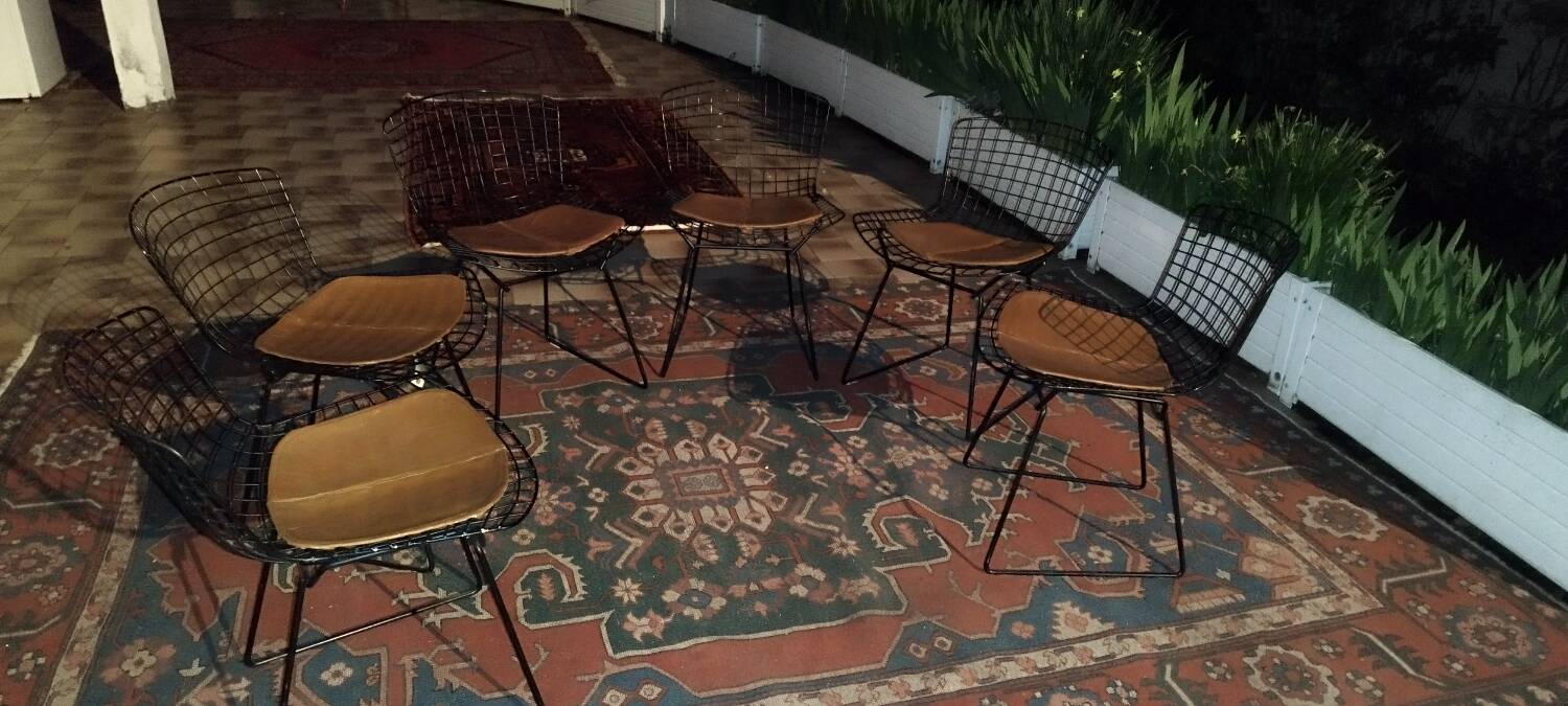 6 chaises Wire Harry Bertoia noires