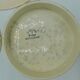 3 serving dishes - Badonviller - Madeleine