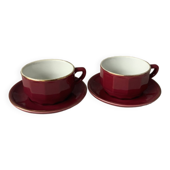 Apilco Flora pink burgundy cups