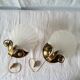 Pair of Deknudt shell sconces