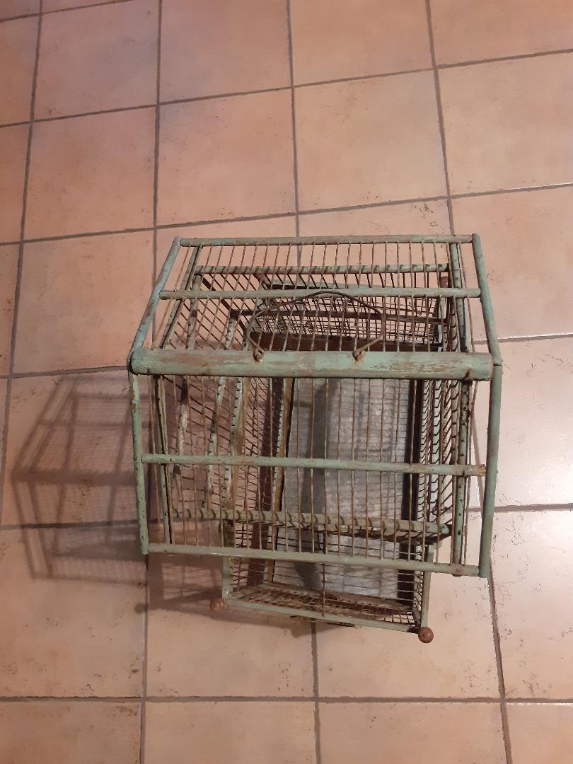 old bird cage