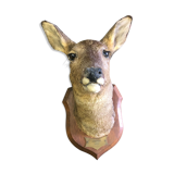 Hunting return trophy