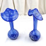 Ensemble de 2 vases à fleurs assortis