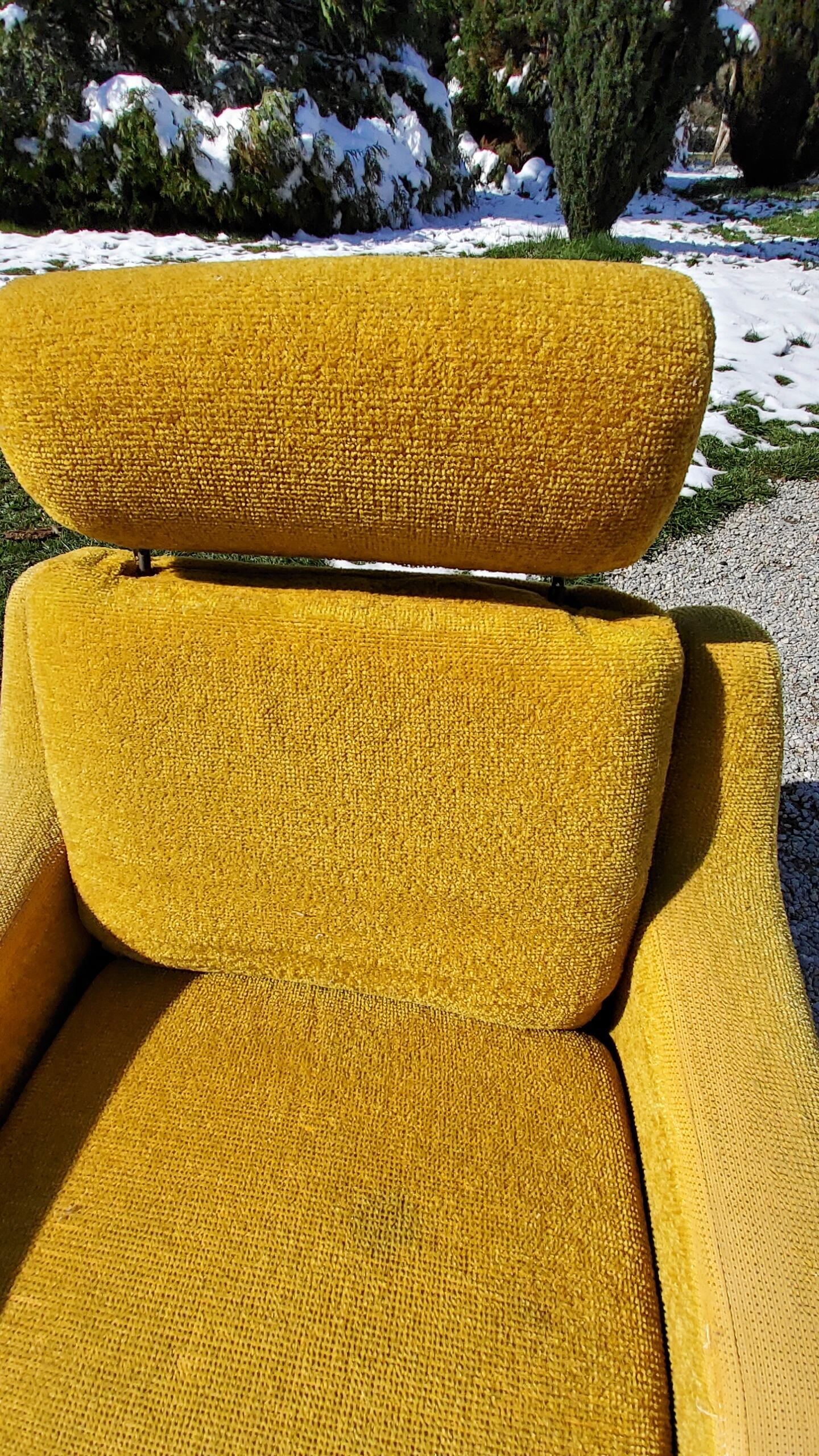 Armchair of the 70s velvet base sleigh in solid mahogany