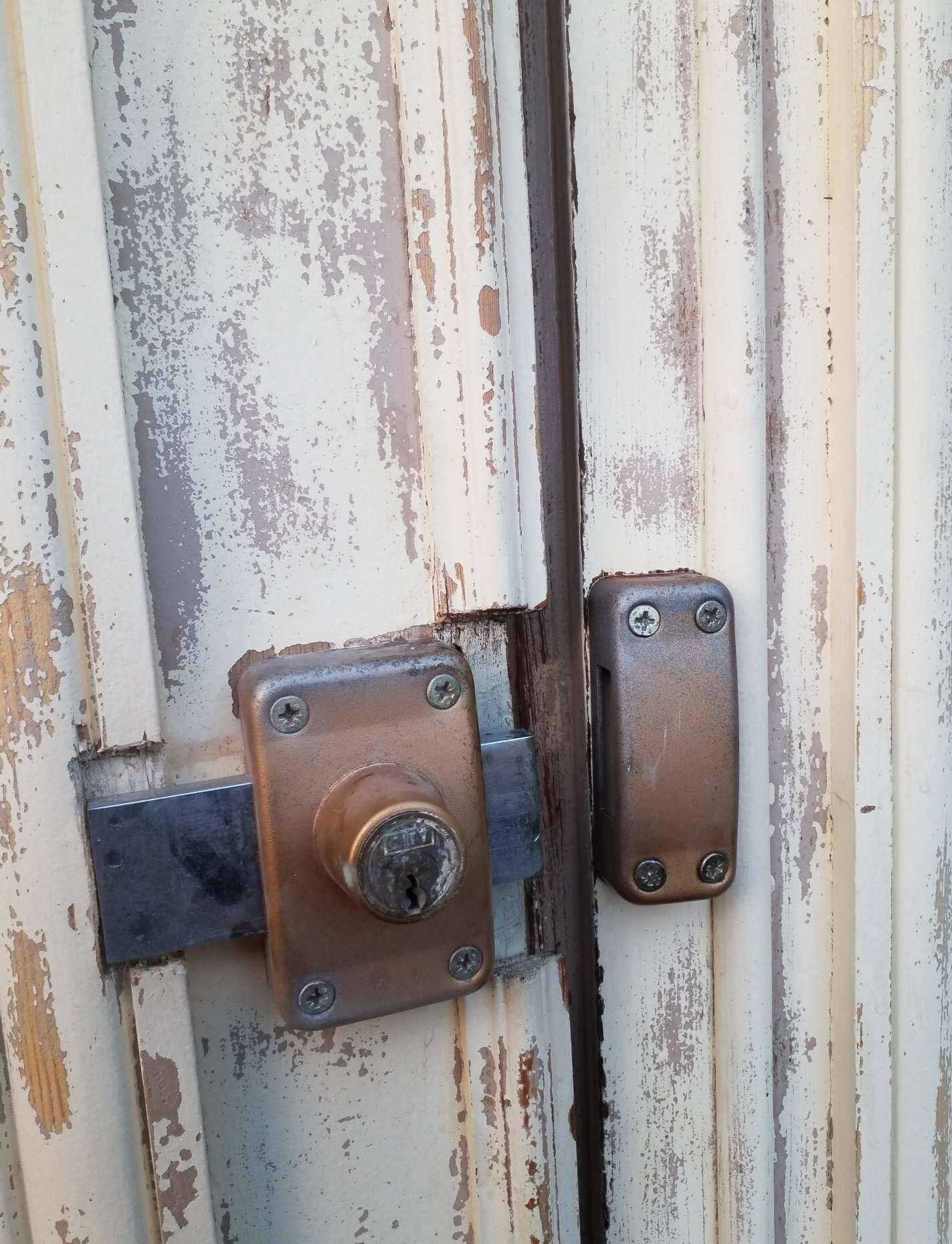 Pair of antique doors