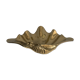 Empty clam pocket