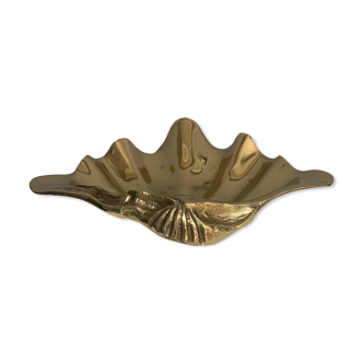 Empty clam pocket