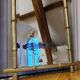 Bamboo mirror