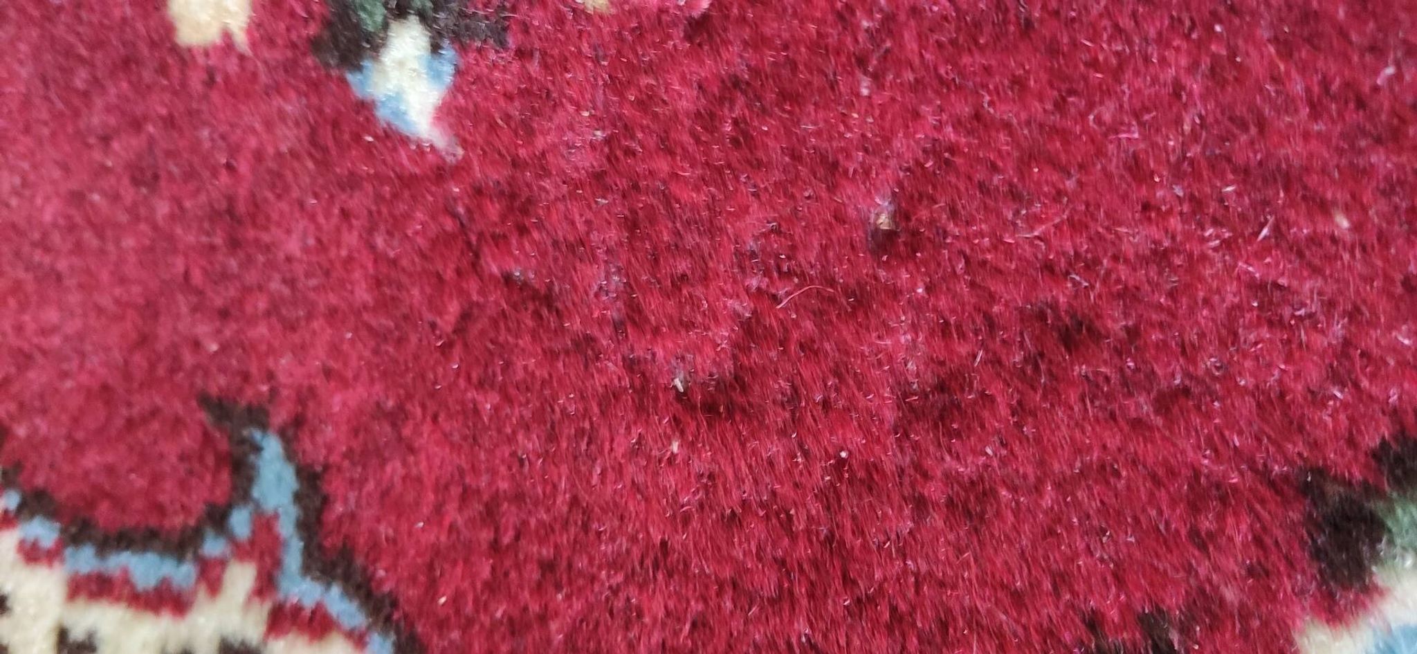Small Persian rug from the 1960s.