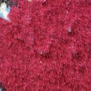 Small Persian rug from the 1960s.