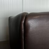 Vintage DS-47 Two-Seater Sofa by De Sede, Neck Leather Extendable Seat 1970