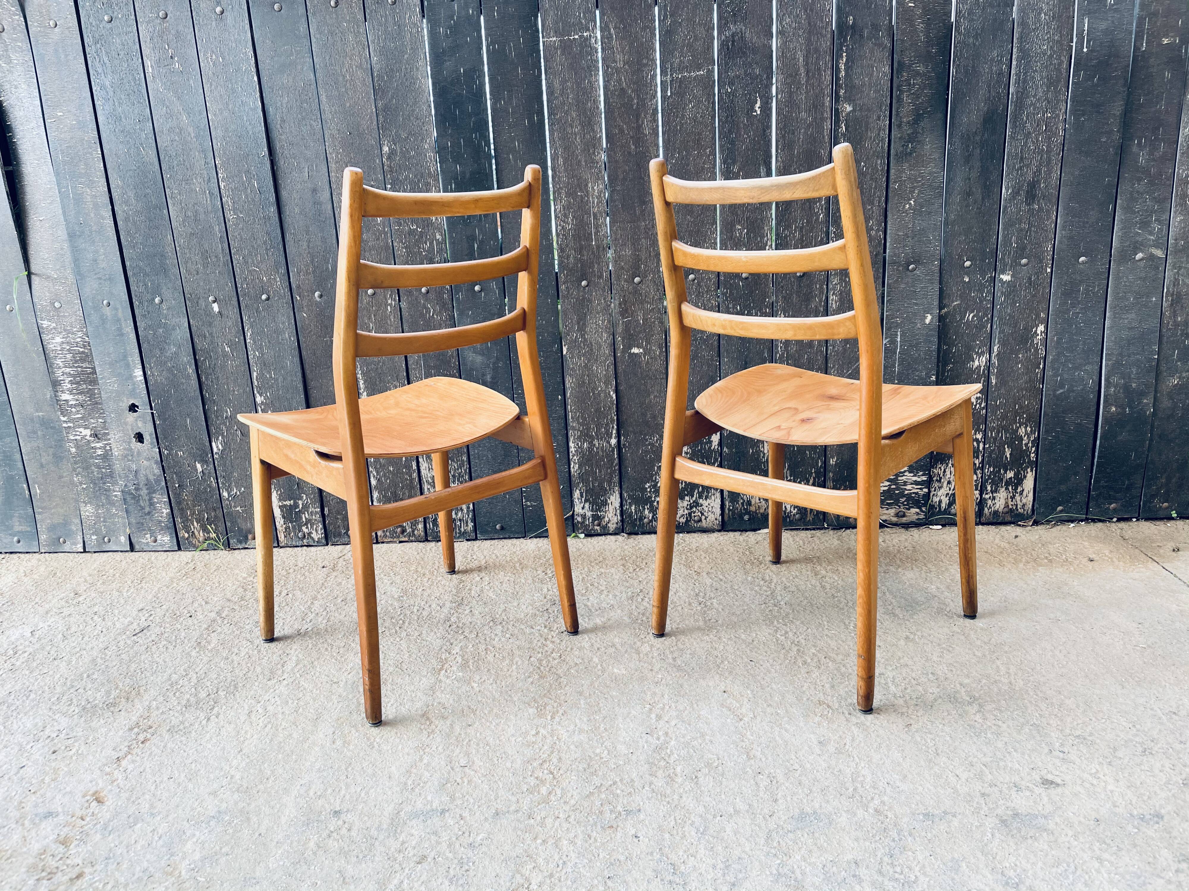 Pair of Chairs Casala Modell