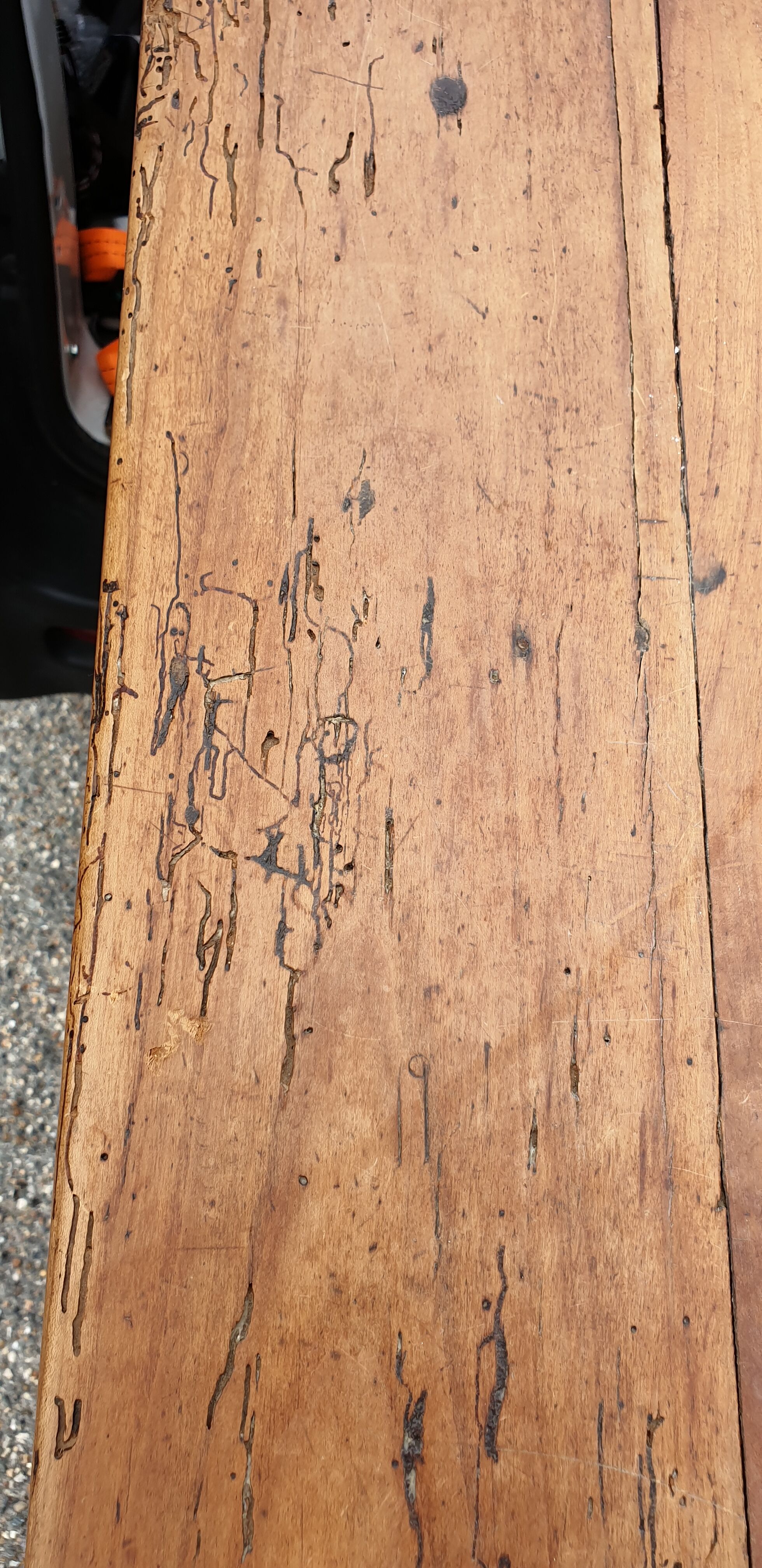 Farmhouse table in massive epicea XIXth