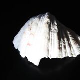 Empty pocket shell