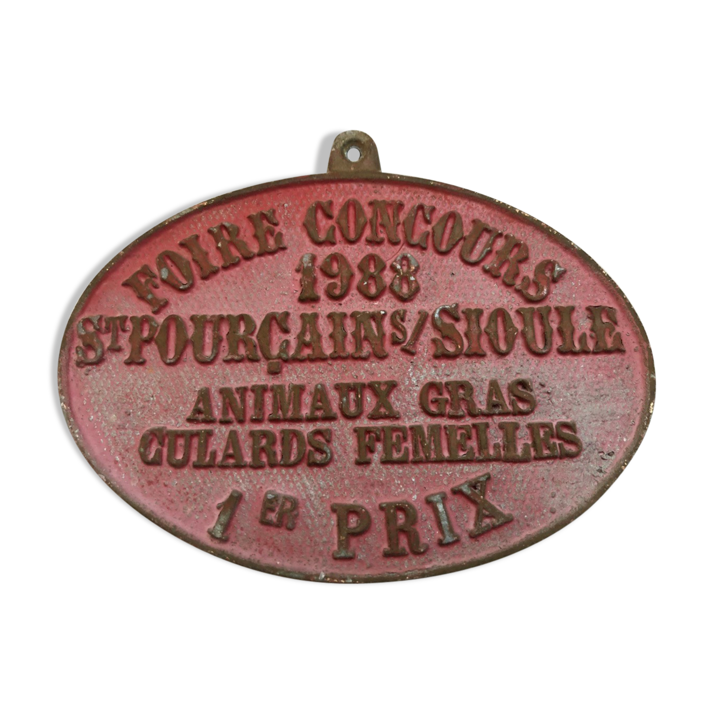 Plaque agricultural competition foire saint-pourçain-sur-sioule animals gras culards females