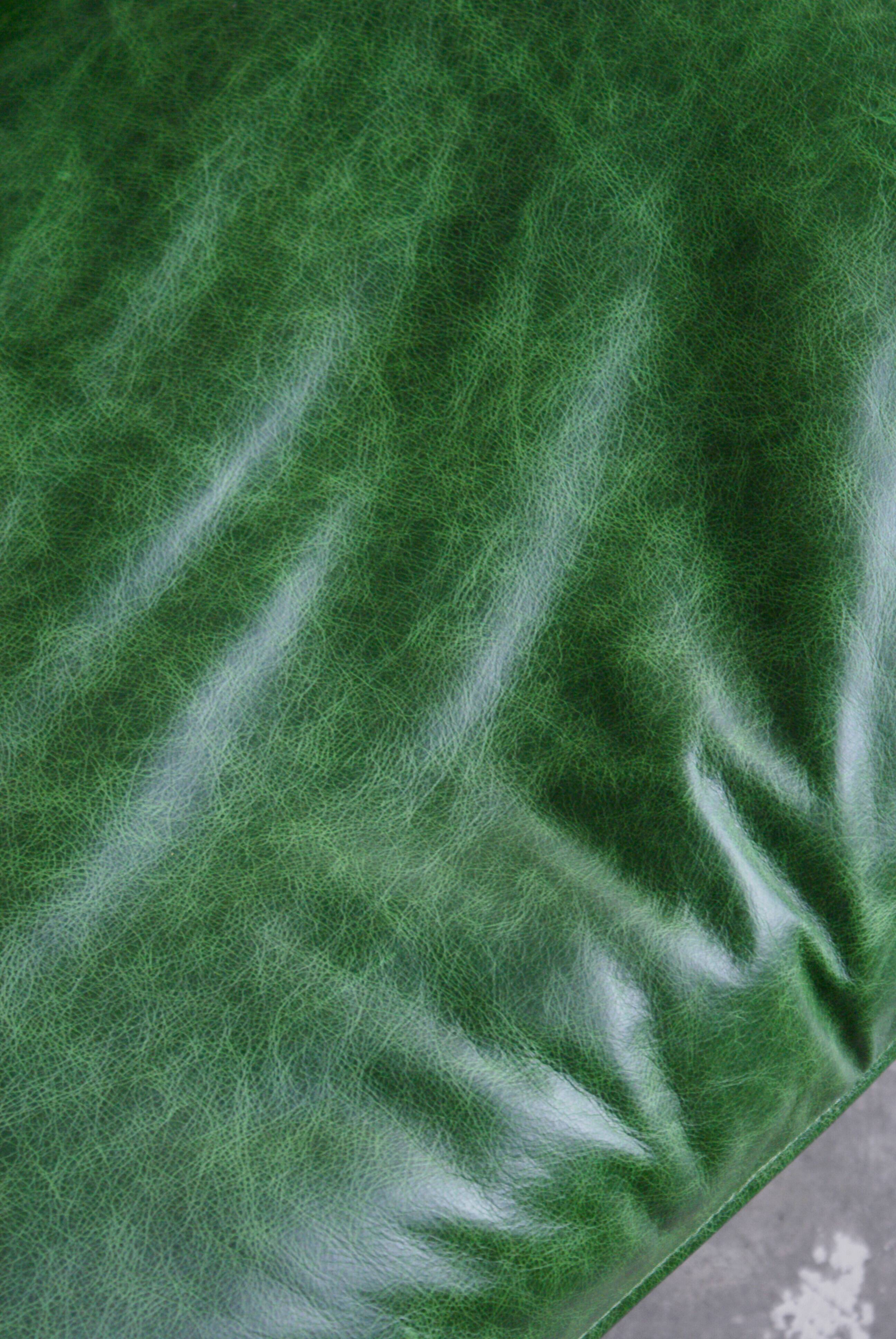 Canada model leather armchair and ottoman by Osvaldo Borsani