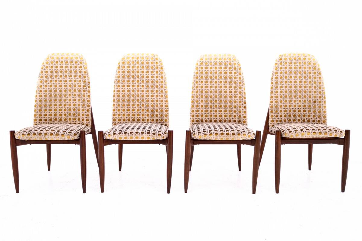 Set of 4 chairs, Czechoslovakia, 1950s. After renovation