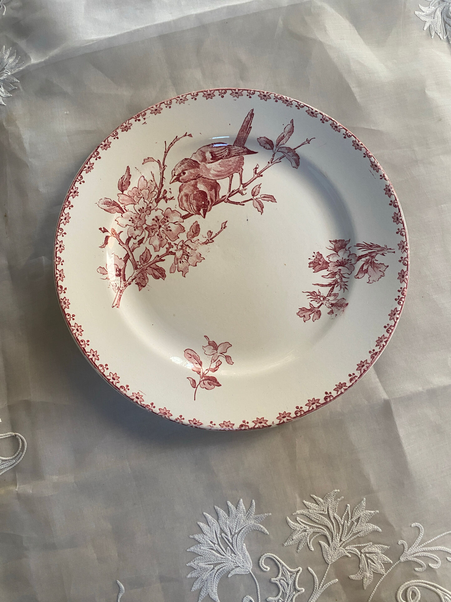 Flat plate model Favourite from Sarreguemines