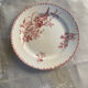 Flat plate model Favourite from Sarreguemines